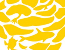 EELC Identity